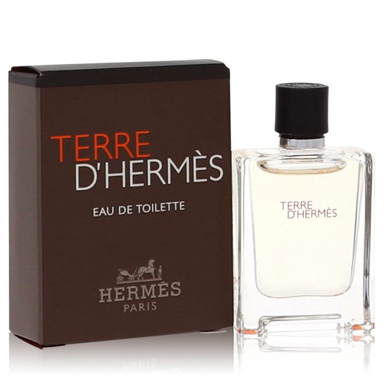 Terre D&